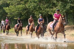 Randonnée à Cheval avec la Ferme équestre Les Grilles de Saint Fargeau