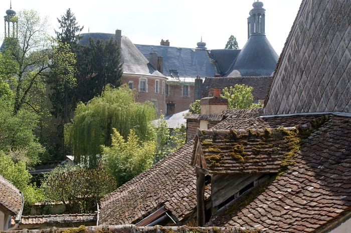 La Maison Jeanne d'Arc Chambres d'hôtes à Saint Fargeau (5)